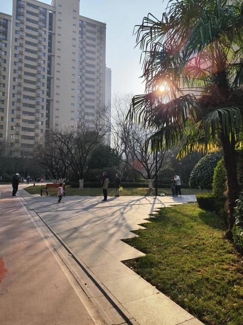 熬夜后清晨小区慢走晒太阳场景