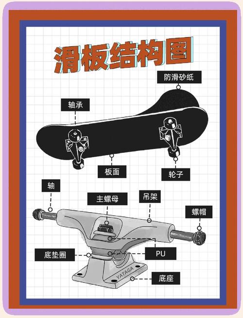 适合新手的专业滑板板面结构图