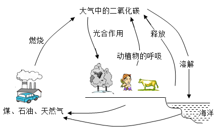 碳从哪里来?——前驱体的原罪