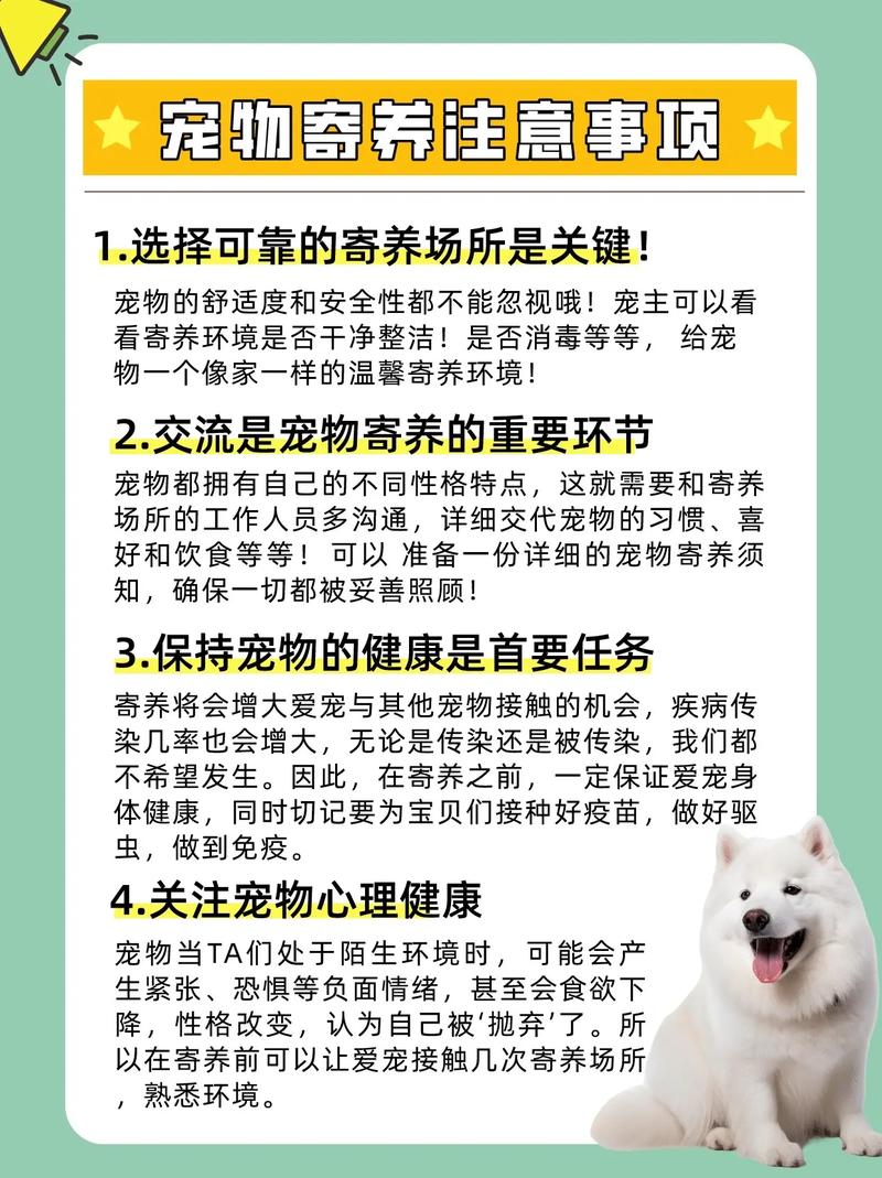寄养前一定要做的几件事