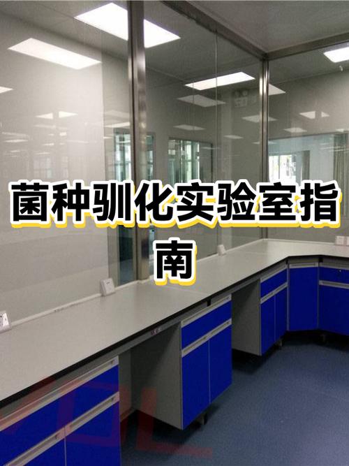 大气治理降解功能菌驯化培养实验室
