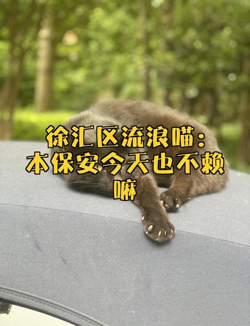 💰 钱包和体验咋平衡？再看国内雪场，其实也不赖