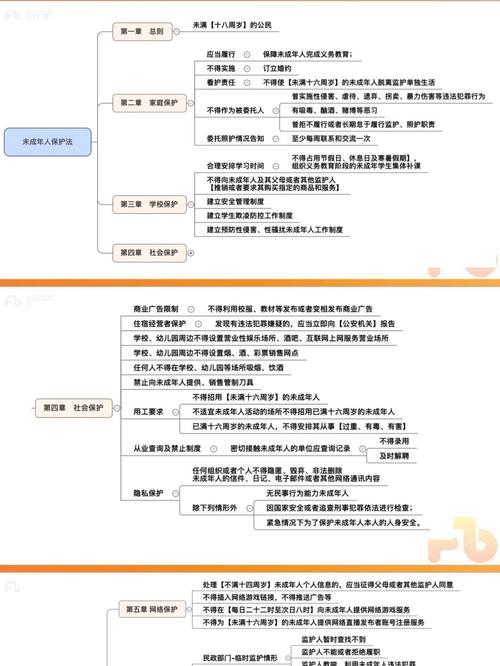新修订未成年人保护法六大保护体系图