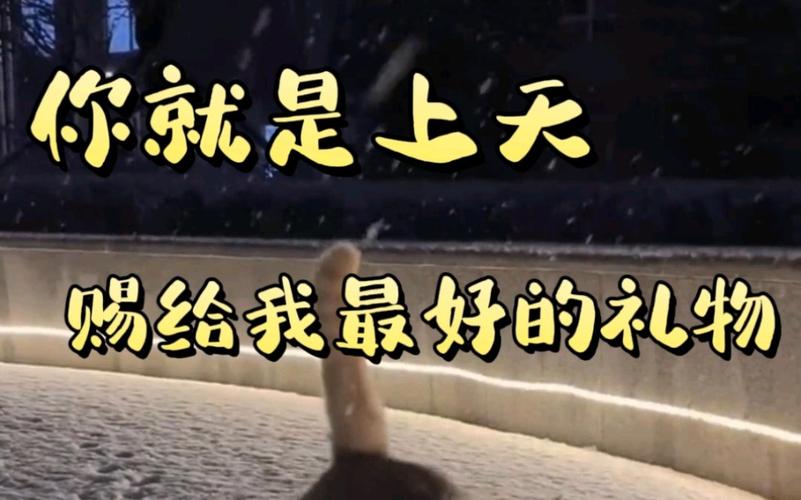 那些踩过的坑，才是升学给你最好的礼物