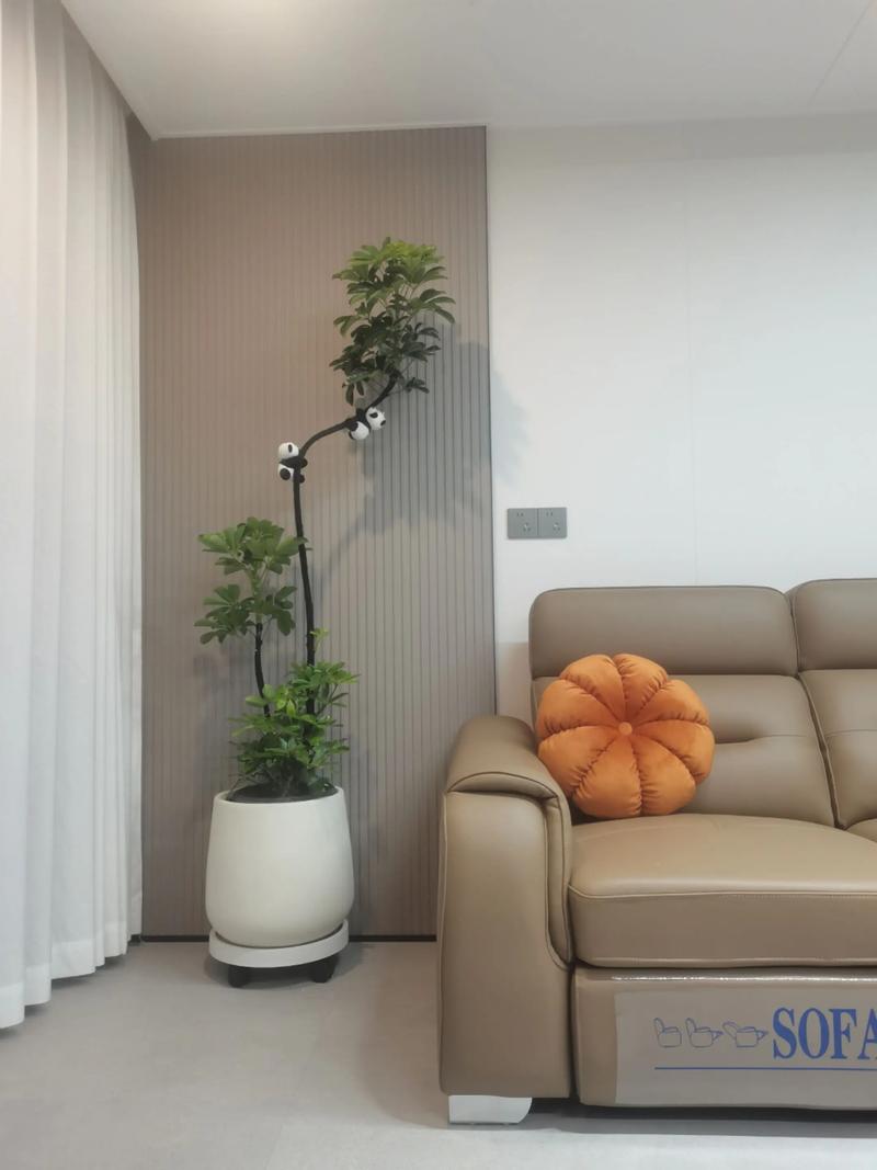 温馨极简客厅一张沙发一盆绿植实景