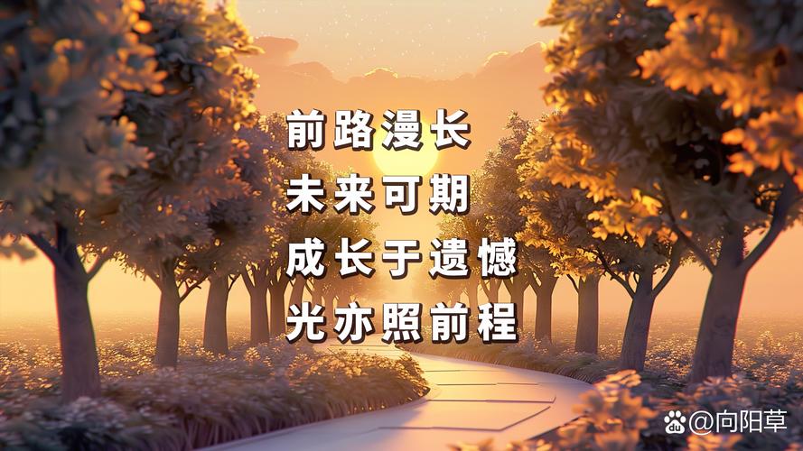 维护与未来:一条路怎么老去