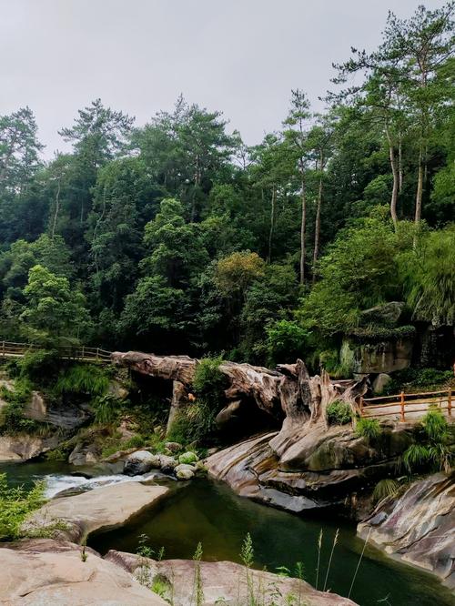 南漳人去庐山，这几个私藏玩法别错过