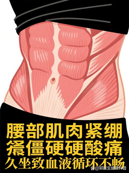 久坐腰背部肌肉紧绷状态示意图
