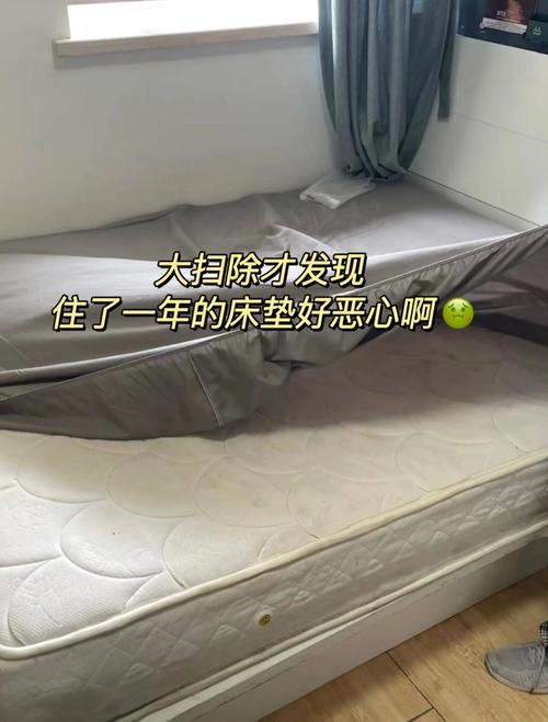 拆开外罩的家用乳胶床垫除螨现场