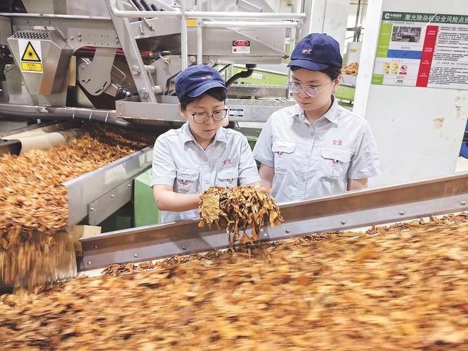 领导力培养：从童年沙坑到工业4.0车间，我们错过了什么-超级宝贝