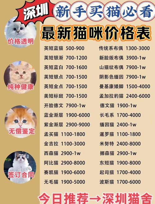 别光看外观报价，核心猫腻都在看不见的地方