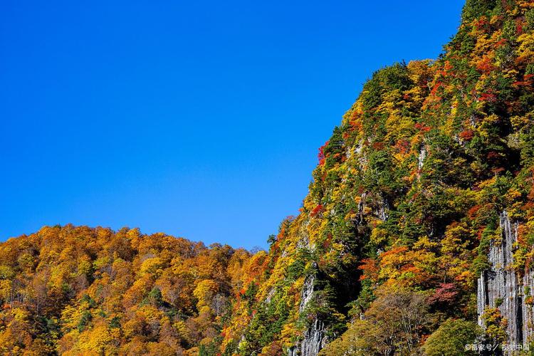 太白山高山草甸秋日彩林风景