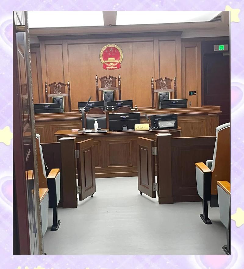 离婚缺席判决民事法庭开庭实拍