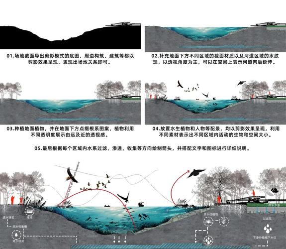 红树林根系固堤护岸剖面示意图