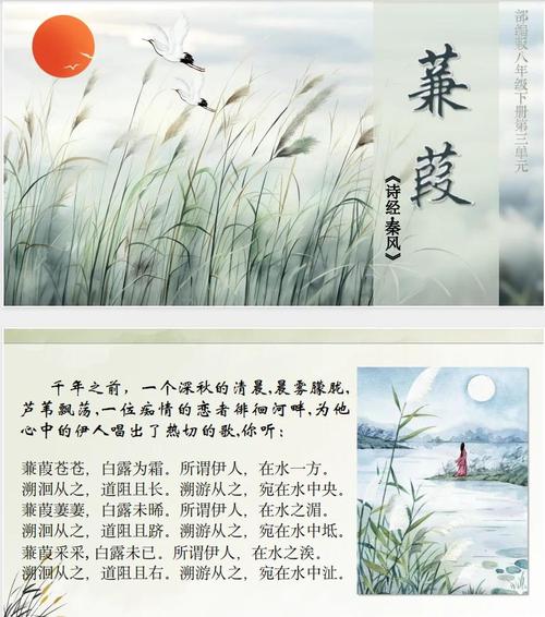 古诗中蒹葭苍苍白露为霜意境图