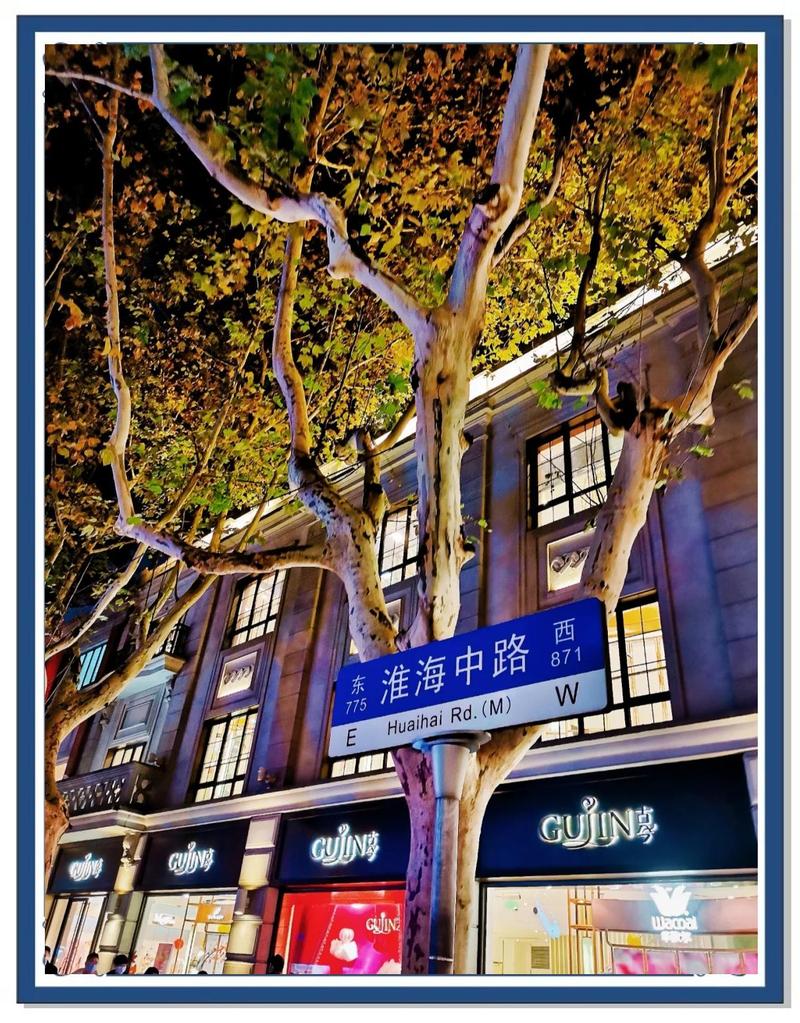 淮海路霓虹灯下的糕点铺