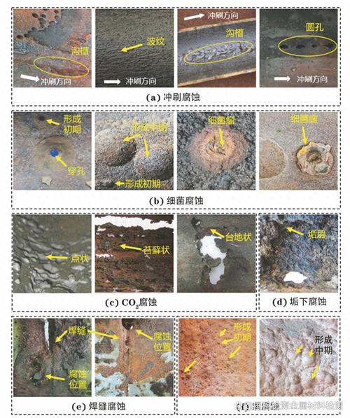 碳钢管道冲刷腐蚀横截面宏观形貌图