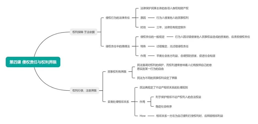 涉外侵权法律适用选择权示意图