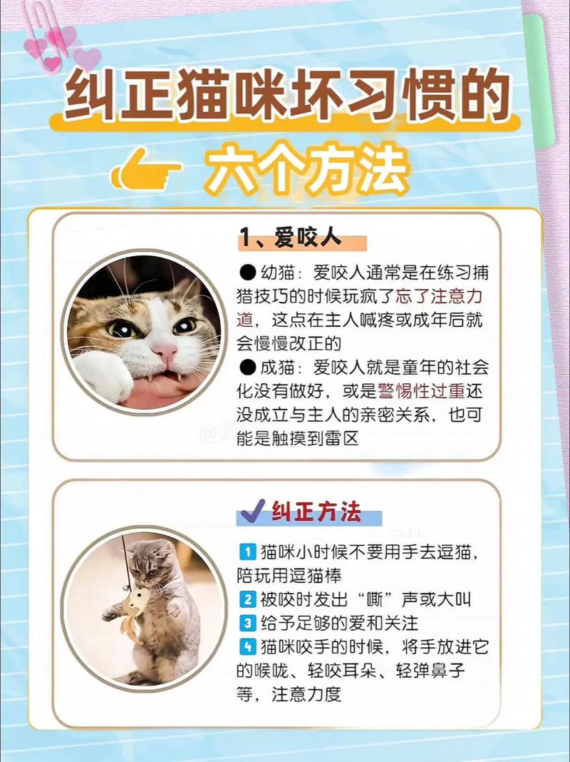 怎么调整半夜跑酷的坏习惯?亲测有用的几个方法