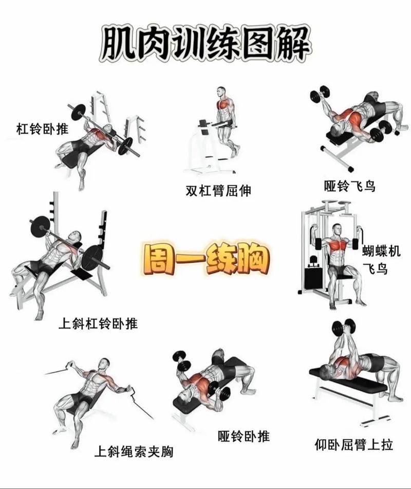 健身房力量训练复合动作示意图