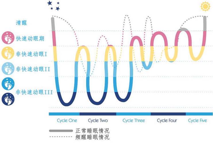 浅睡眠阶段突然接触强光的人体反应示意图