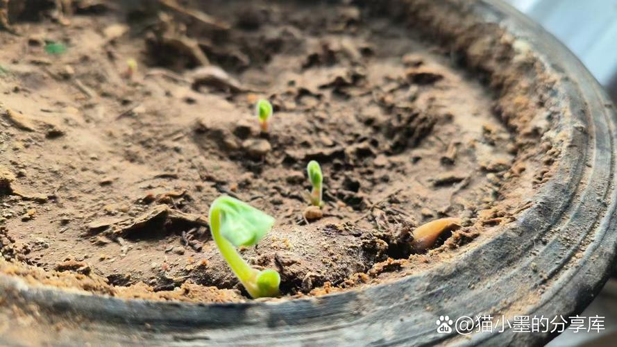 🌱 扎根在日常的细节里