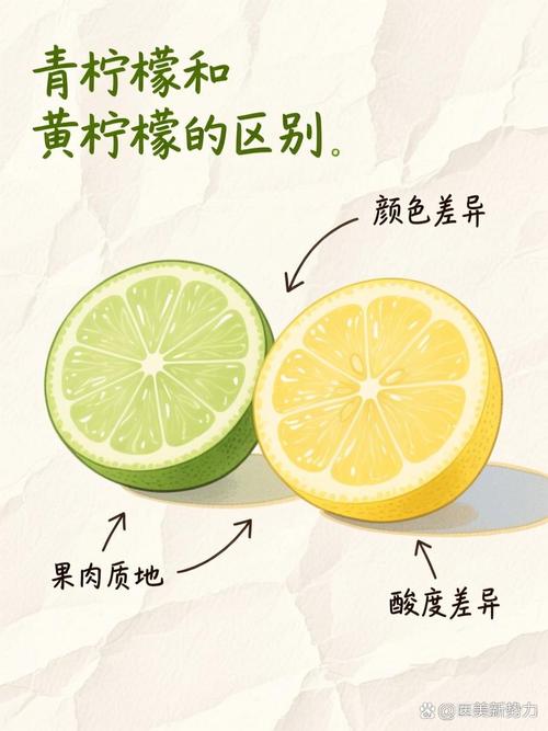 柠檬的秘密生活:为什么你家厨房永远缺不了它-因为所以