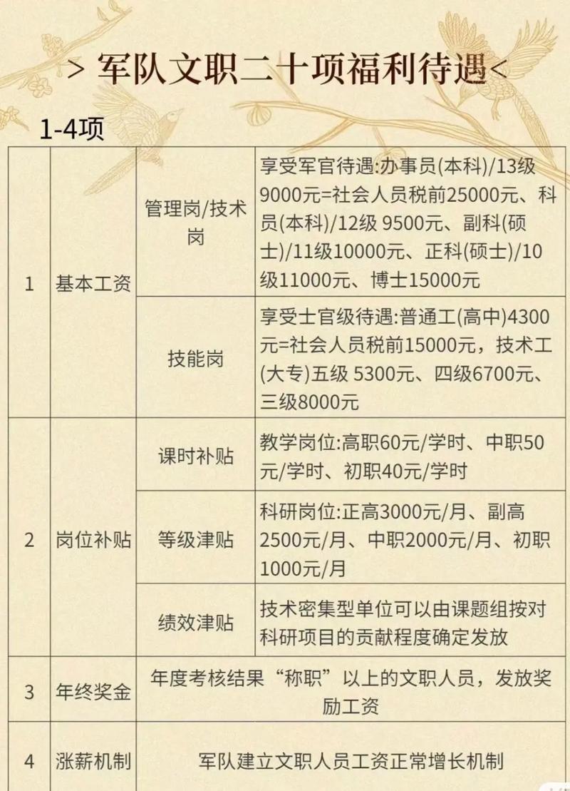 军队文职人员薪资条待遇明细特写