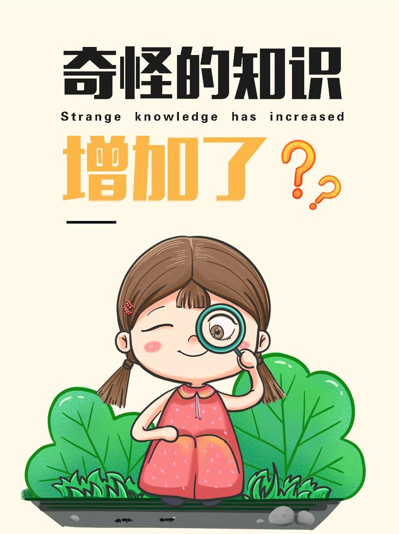 被忽略的小好奇