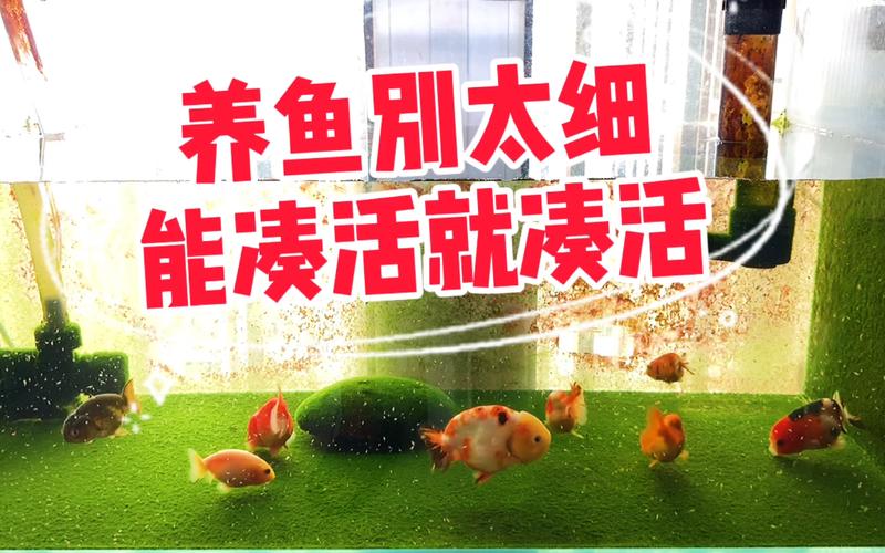 哪些能凑活,哪些必须立刻修