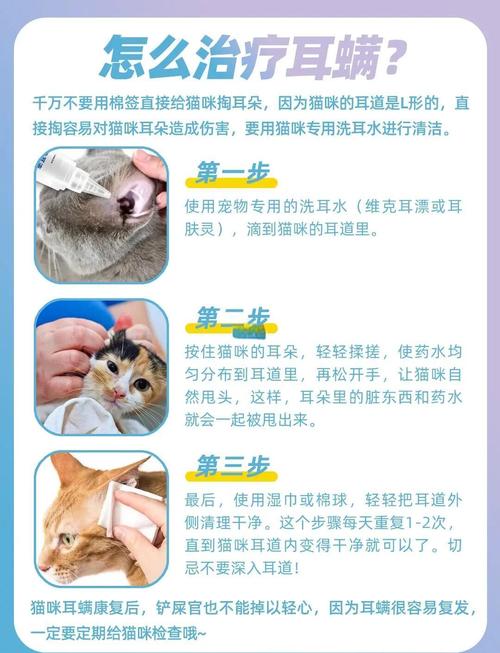 治好耳螨，只要做好这三件事