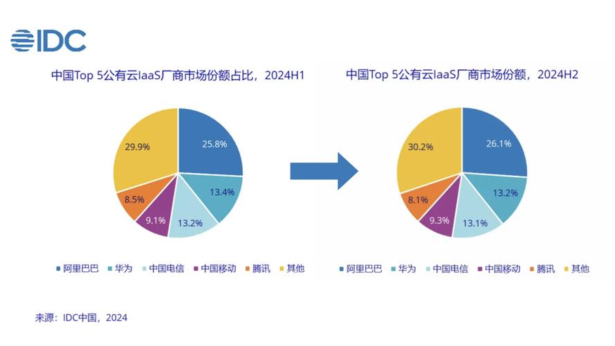 2024中国云计算市场份额占比条形图