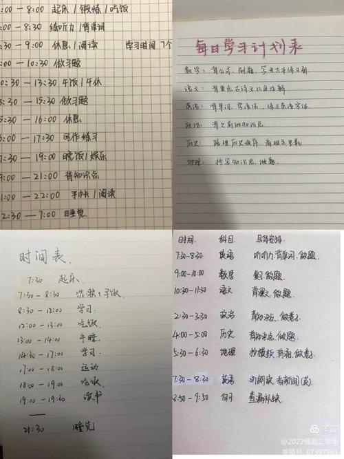 高三学生学业试错止损线手写计划表