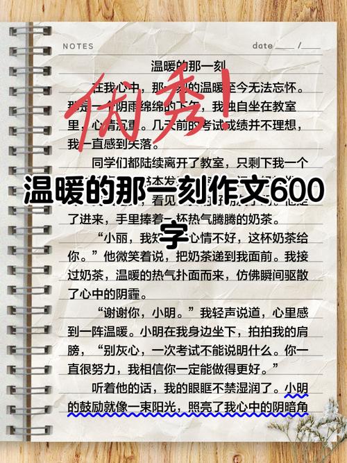 温和叙事：那个被我们“看见”的认真瞬间
