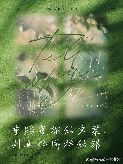 我当年犯的错,你可别重蹈覆辙