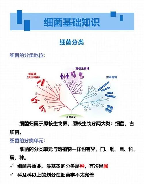 日常居家高频接触带菌物品分布图