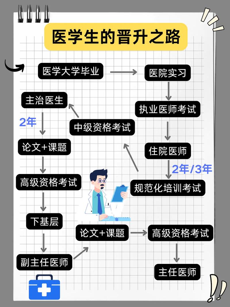 生物医药产业人才晋升路径与学历对照