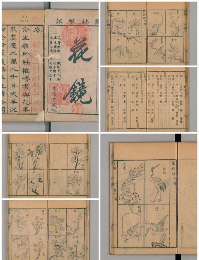 花谱:从《群芳谱》到指尖上的植物志,如何读懂一朵花的身世?-因为所以