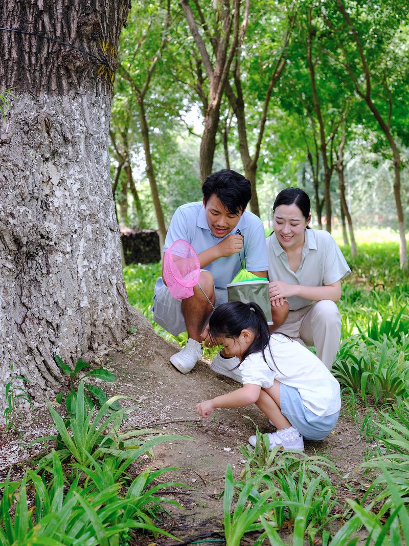 家庭在户外进行自然观察活动