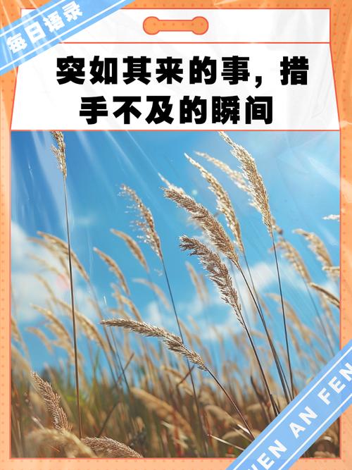 今天就能干的3件事,别等被打个措手不及