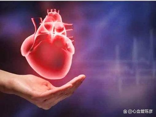 比起花几万手术,预防才是真的省心力