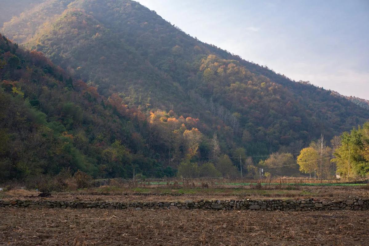 湖北南漳荆山华山原生山林