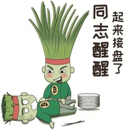 醒醒，别当韭菜了