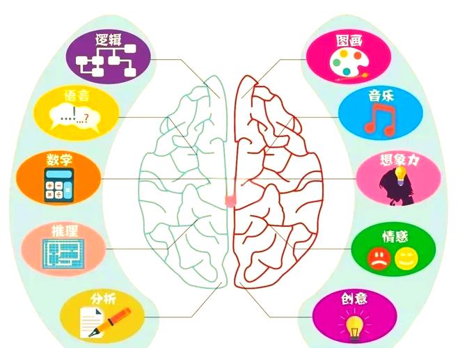学生上课走神大脑幻想示意图