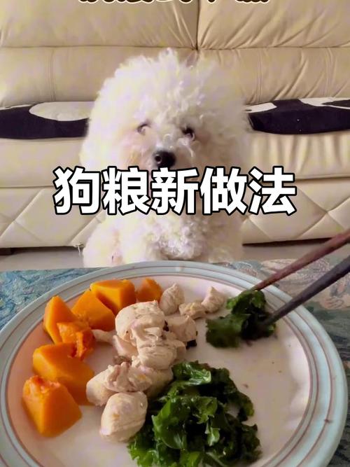 给犬胰腺炎狗狗准备的蒸鸡胸南瓜鲜食