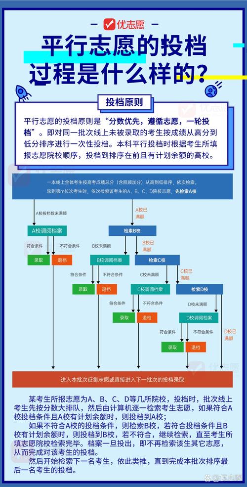 2024中考平行志愿投档流程示意图
