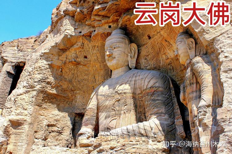 云冈石窟大佛山脚老杨树落鸽毛