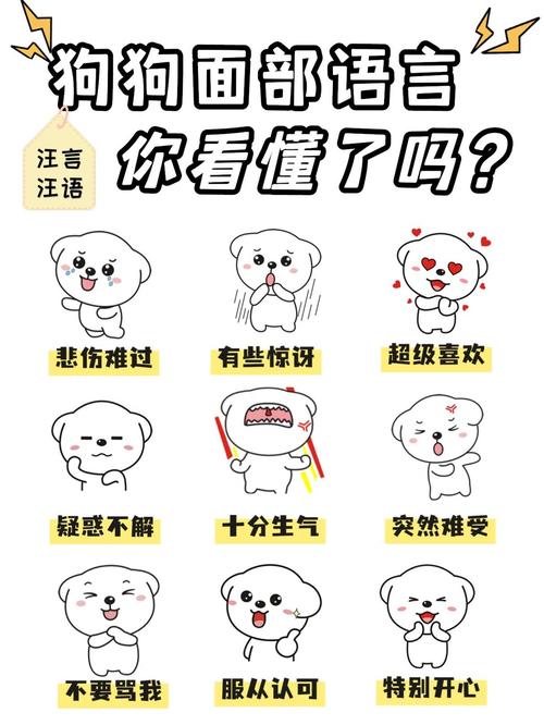 爆款情绪表情包文字排版示例图