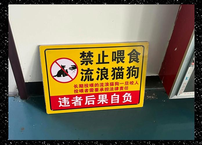 突然出现标记，先排查疾病再骂猫狗
