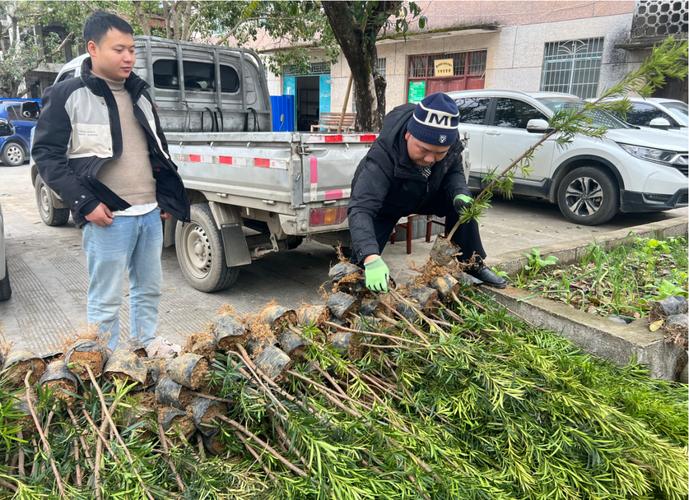 验收环保改造问题 🌱